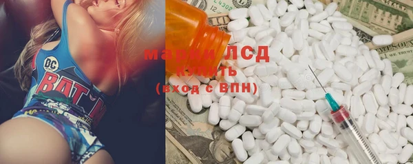 крисы Зеленодольск
