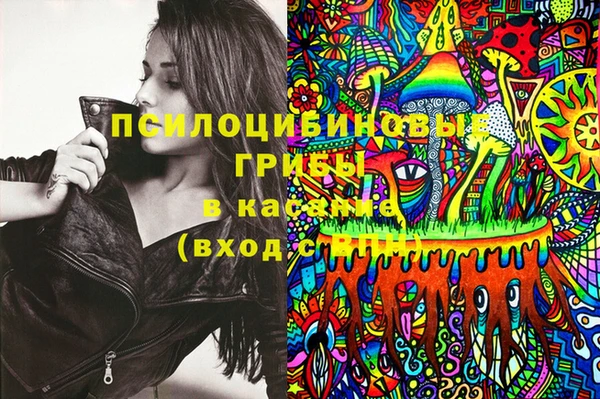 крисы Зеленодольск