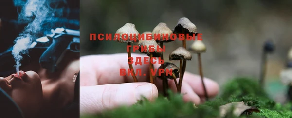 скорость Зерноград