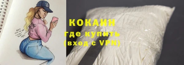 крисы Зеленодольск