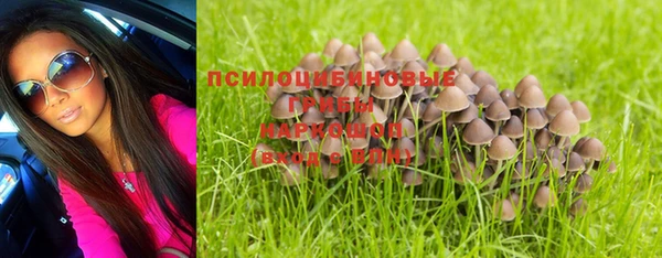 прущие крисы Зеленокумск