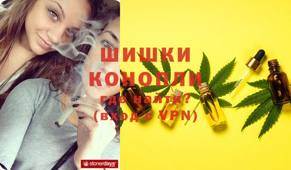 крисы Зеленодольск