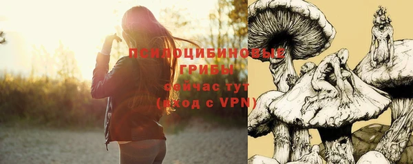 прущие крисы Зеленокумск