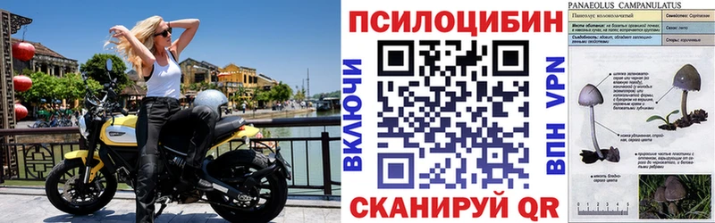 Псилоцибиновые грибы прущие грибы  Купить закладки  Малгобек 